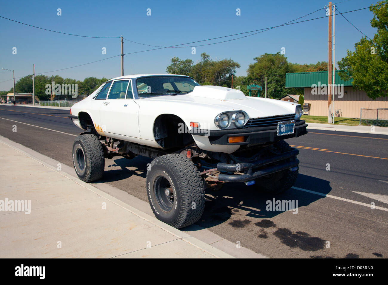 Modificato Jaguar auto personalizzata nel deserto del Nevada, USA. Foto Stock