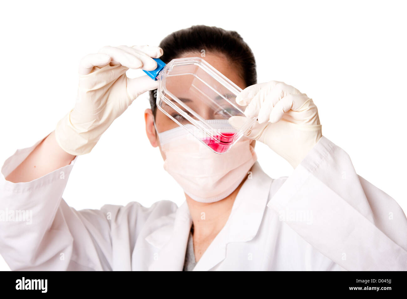 Donna scienziato ricercatore guardando al tessuto rosso di mezzo di coltura cellulare in pallone indossando i guanti e la bocca cap, isolata. Foto Stock