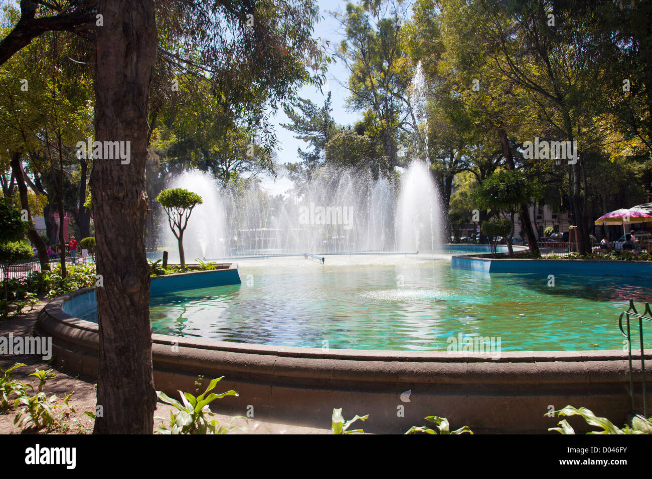 Plaza Luis Cabrera a Roma nel quartiere di Città del Messico DF Foto Stock