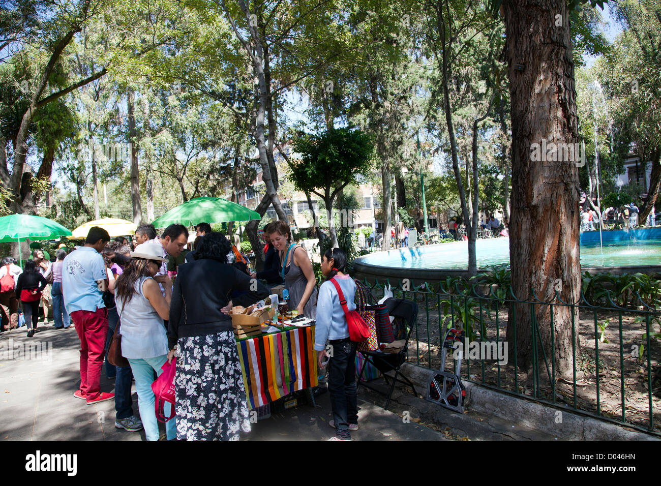 Piccolo mercatino delle pulci in Plaza Luis Cabrera a Roma nel quartiere di Città del Messico DF Foto Stock