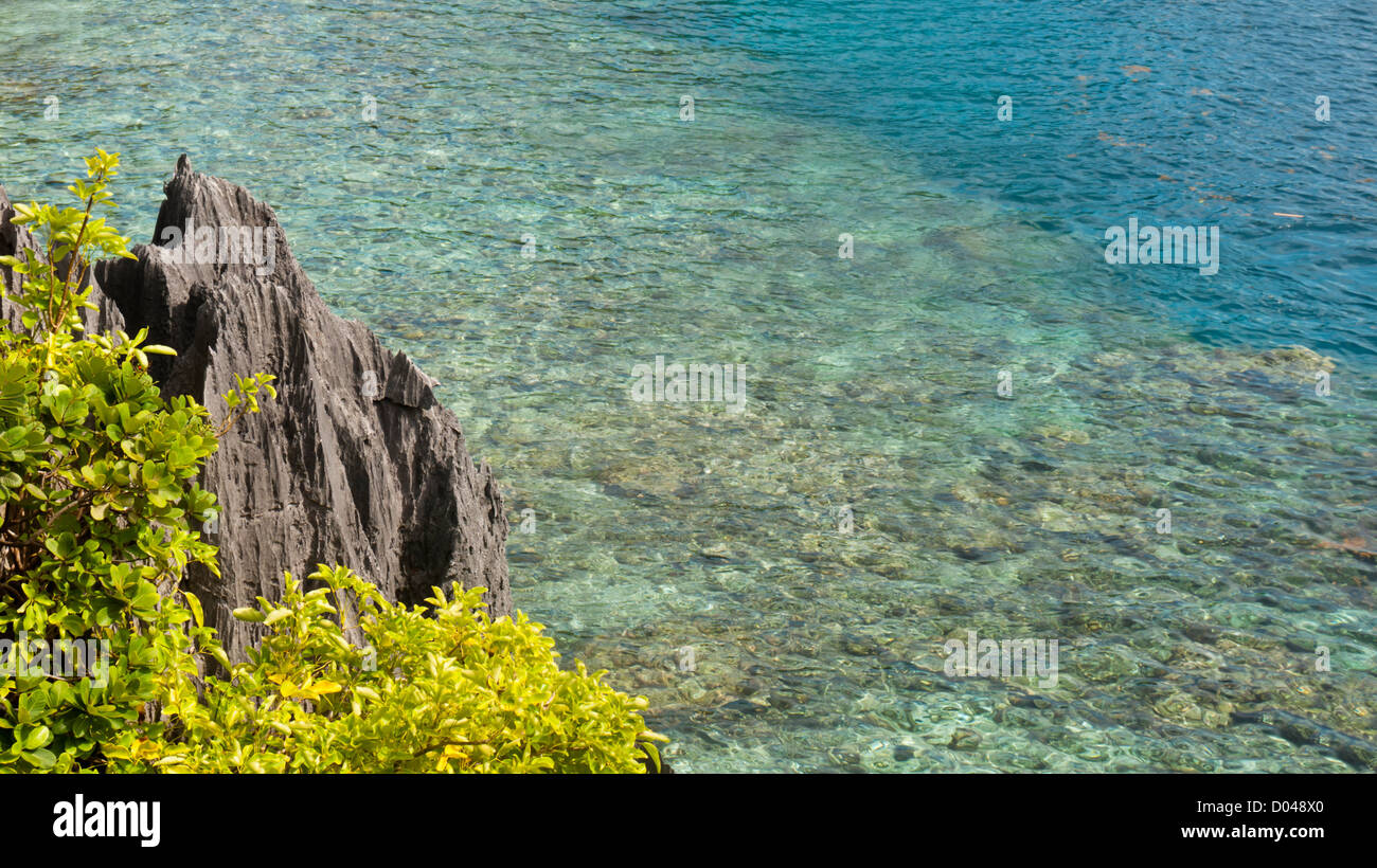 Paesaggio di isola tropicale, PALAWAN FILIPPINE Foto Stock