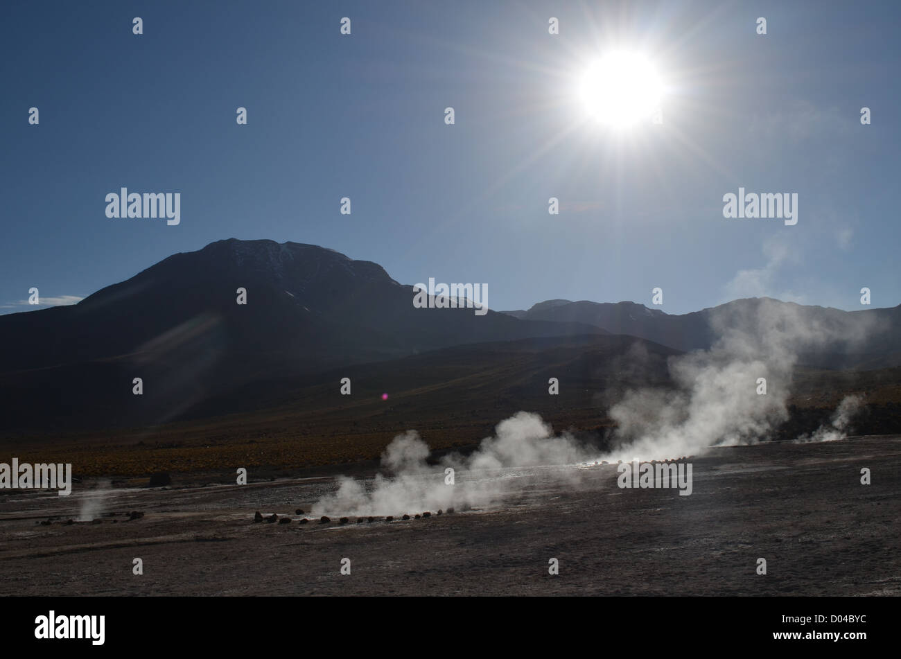 Geyser del Tatio. Hot Springs nel deserto di Atacama, Cile Foto Stock