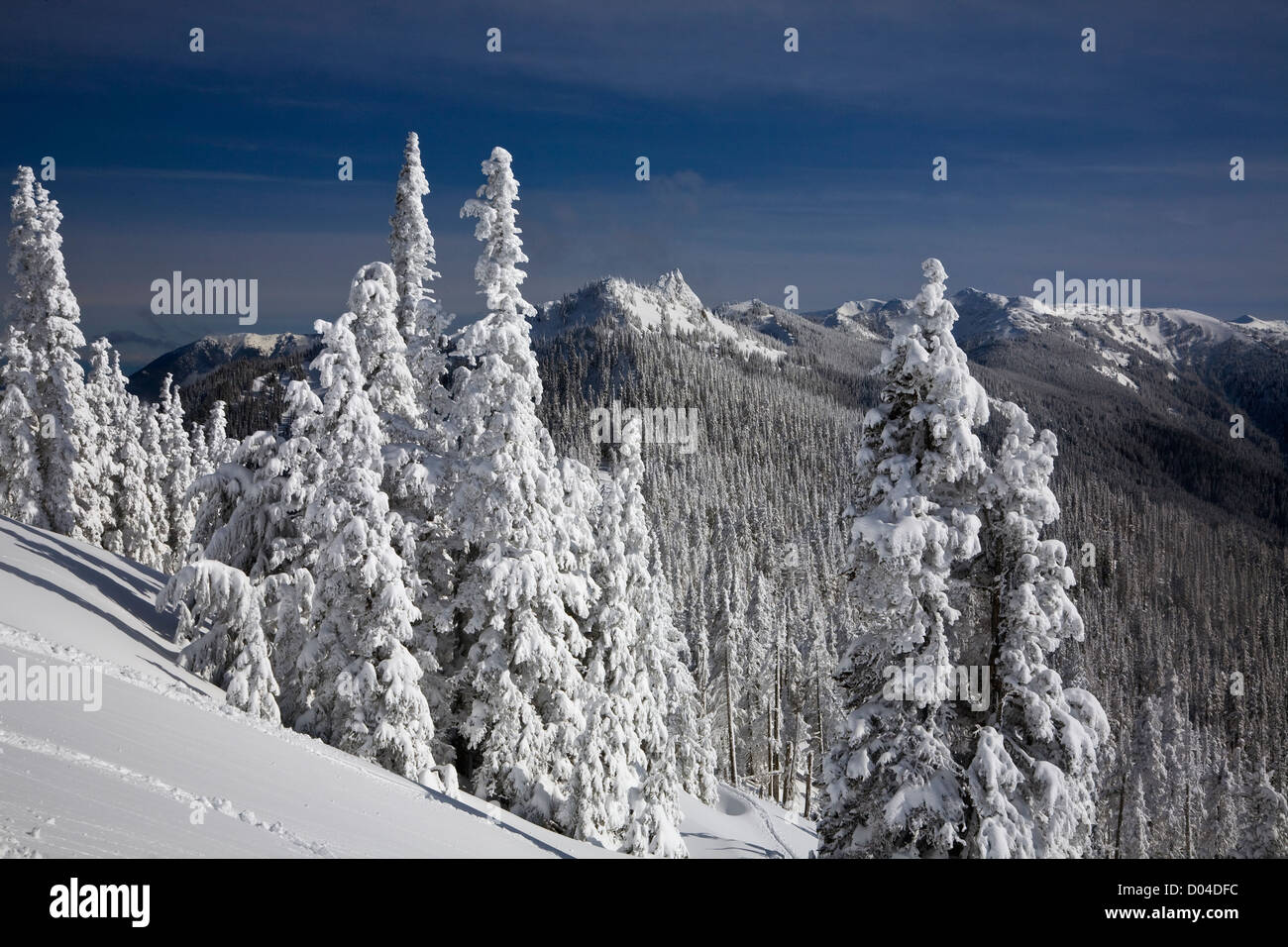 WASHINGTON - Steeple Rock e coperti di neve alberi lungo il punto di osservazione sulla strada Hurricane Ridge nel Parco Nazionale di Olympic. Foto Stock