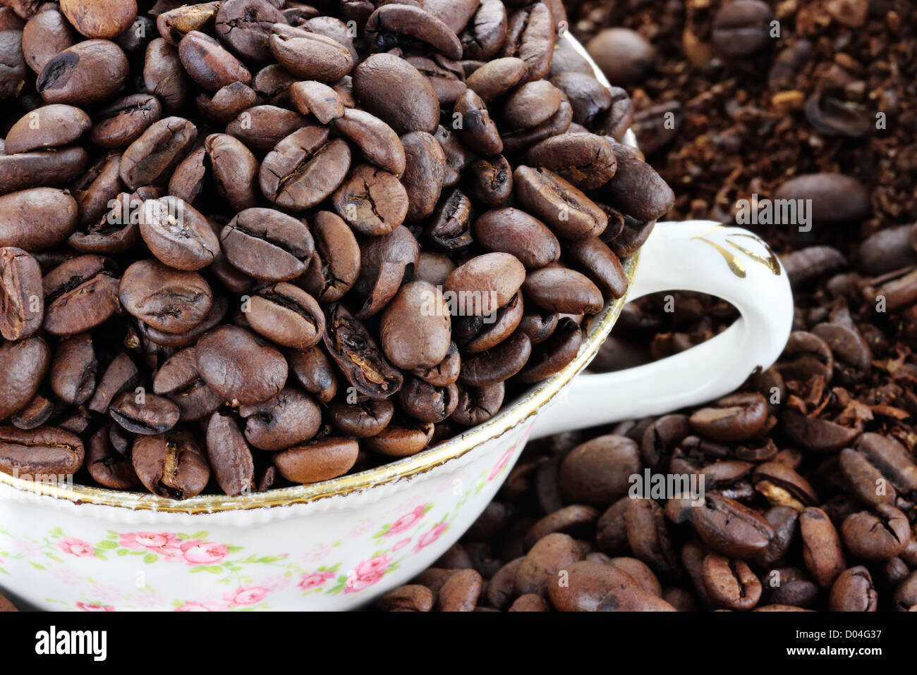 Tazza riempita con i chicchi di caffè su uno sfondo di tutto e caffè macinato fresco Foto Stock