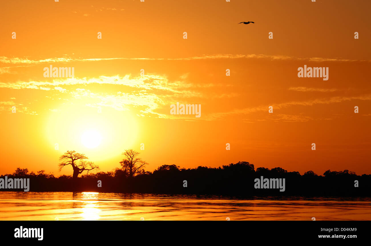 Paesaggio africano, Senegal Sine Saloum Foto Stock