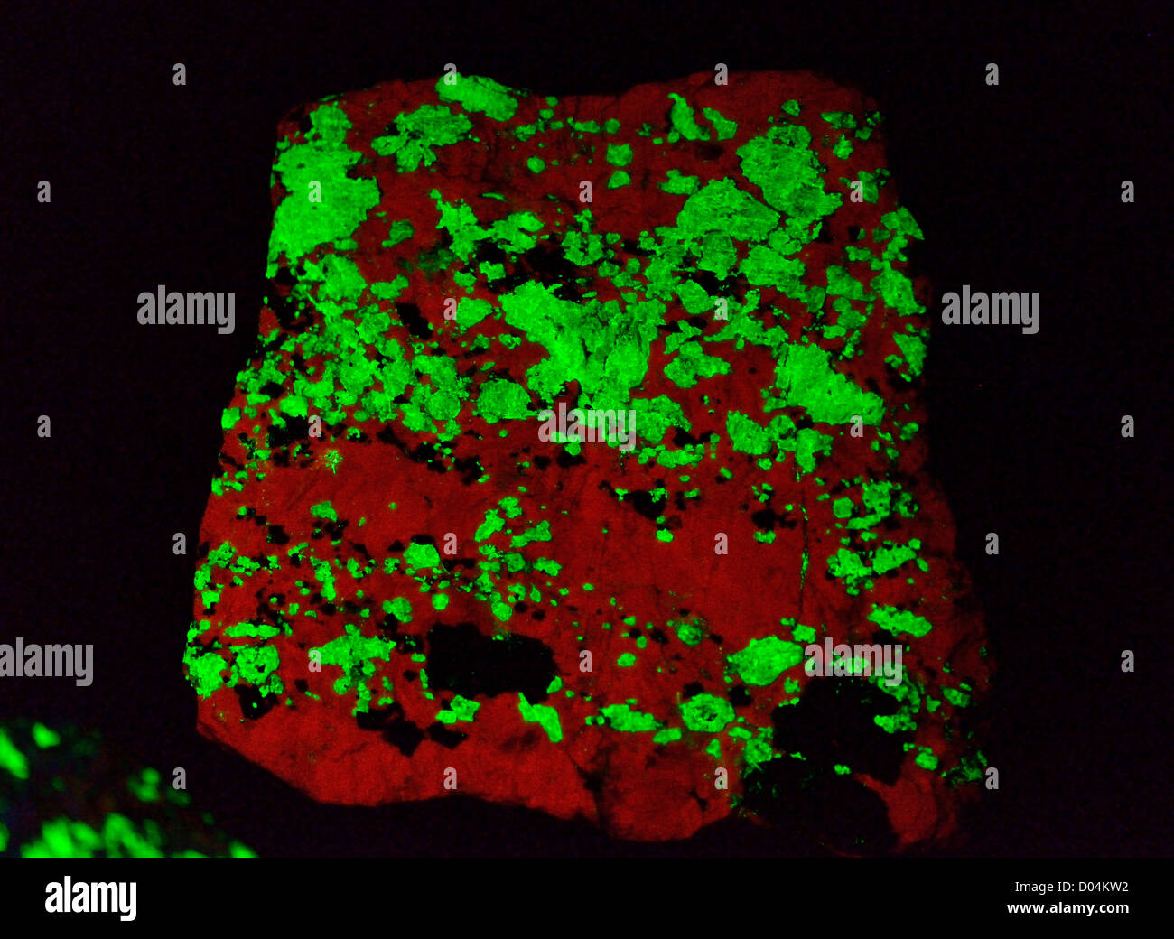 Minerali fluorescenti willemite (verde, silicato di zinco Zn2SiO4) e calcite (rosso, CaCO3) incandescente sotto luce UV. Foto Stock