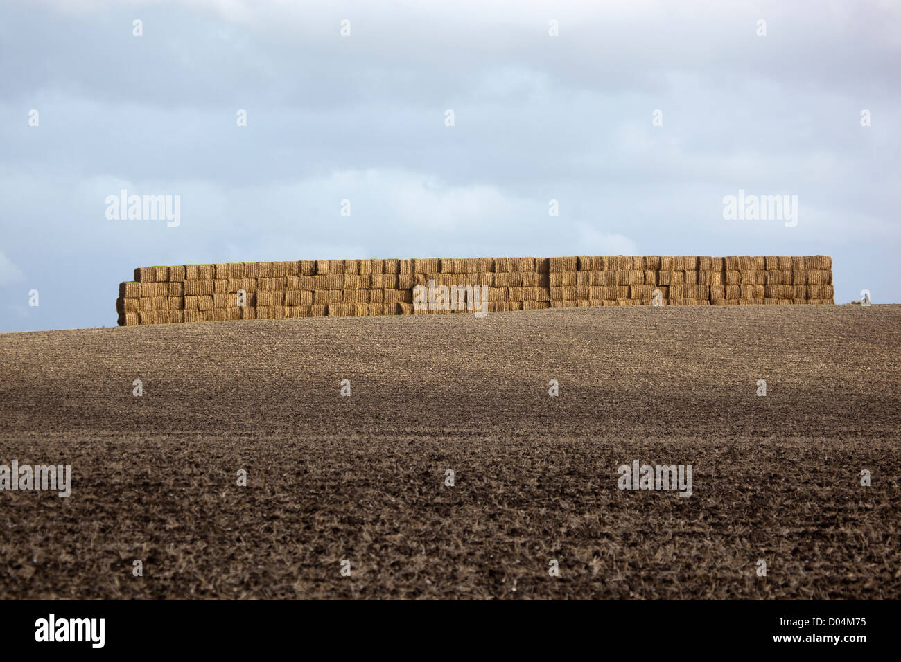 Fieno o balle di paglia accatastati nel campo Foto Stock