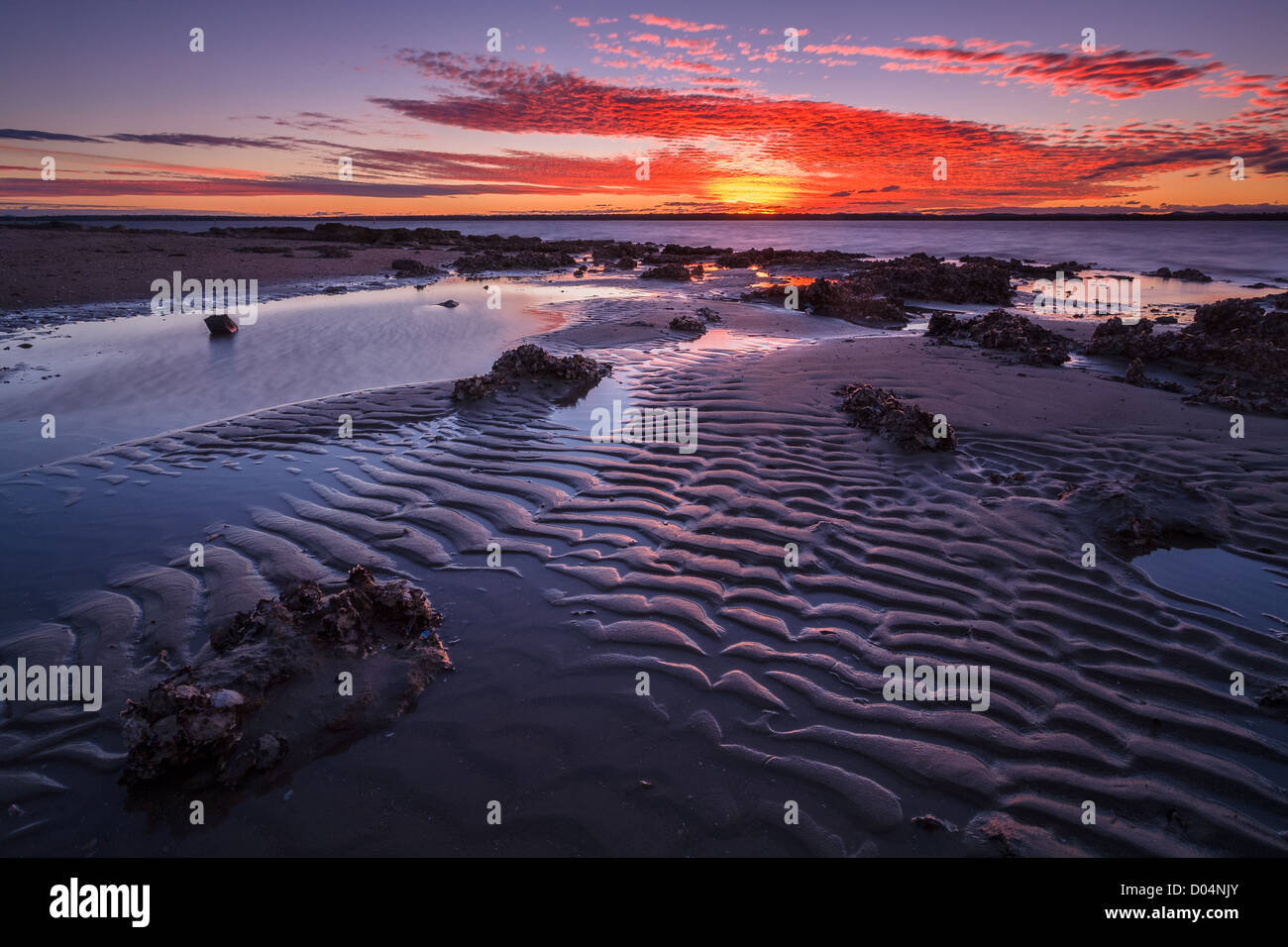 Tanilba Bay, NSW Foto Stock