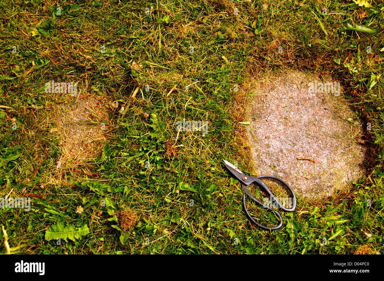 Un giardino ha bisogno di una costante manutenzione il taglio di erba con una forbice Foto Stock