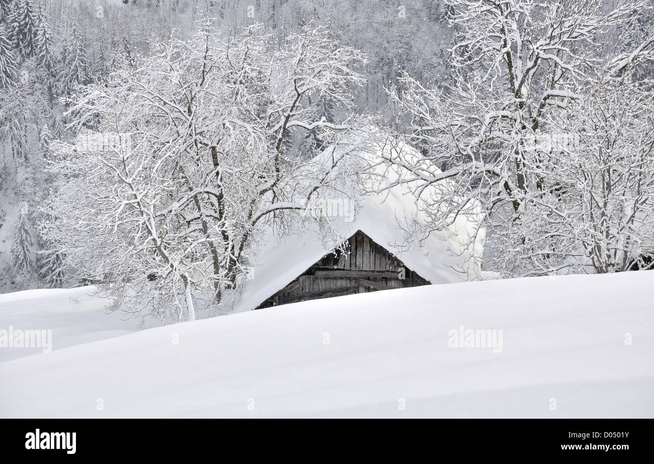 Tetto di un casolare immerso tra due alberi in montagna innevata e coperta di neve Foto Stock
