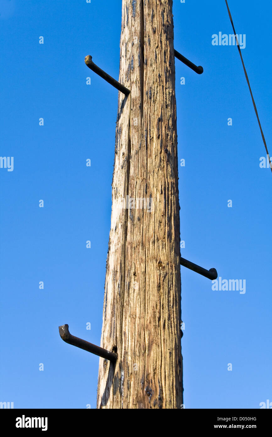 Old telephone pole con pioli per salire sul cielo blu Foto Stock