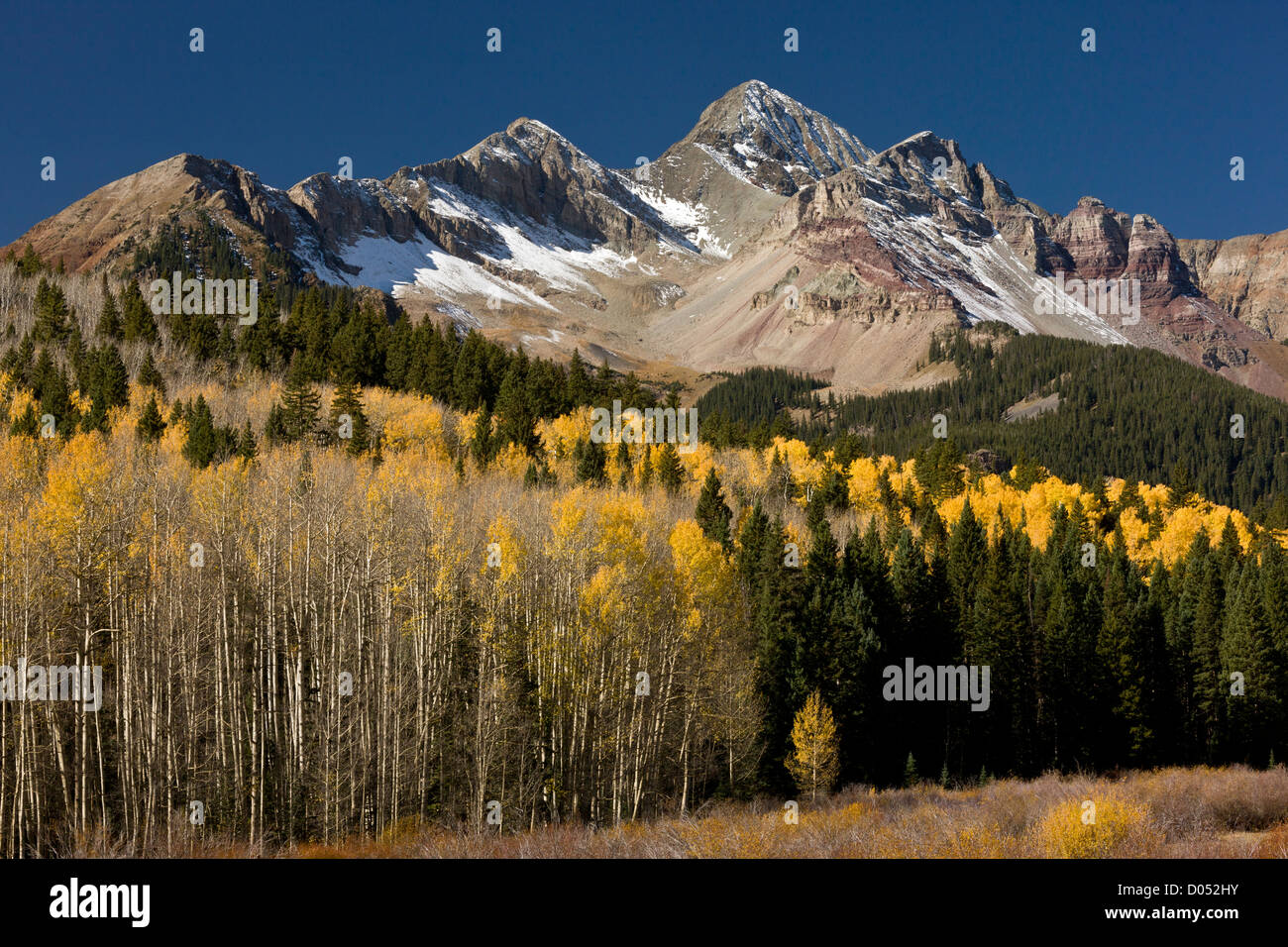 Vista verso il picco di Wilson nella testa di lucertola deserto, San Juan Mountains, Colorado. Foto Stock