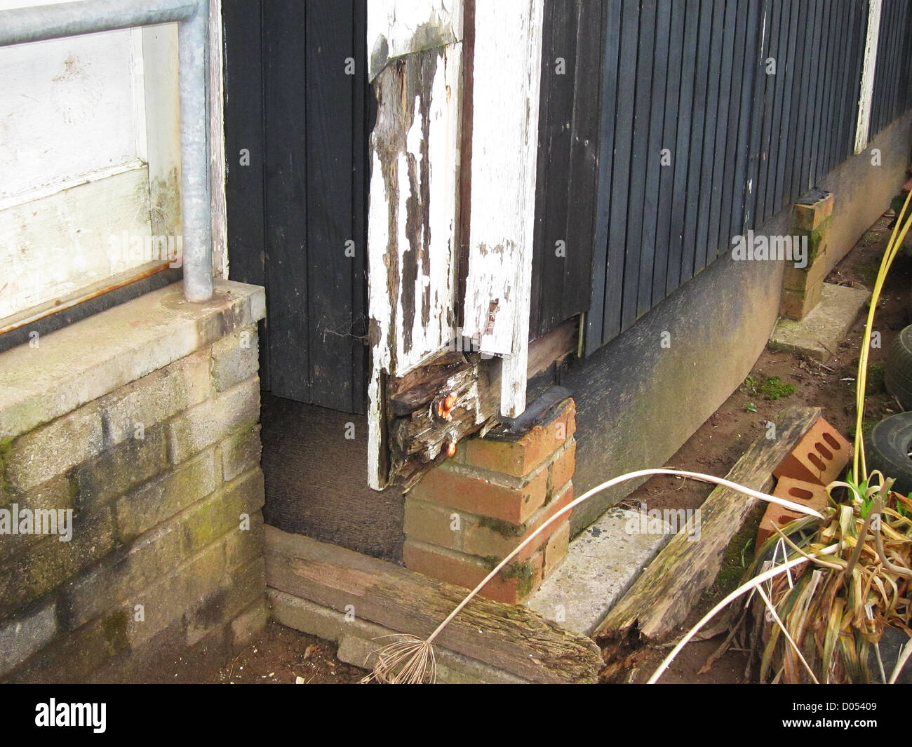 Marciume legni di una temporanea edificio scolastico Foto Stock
