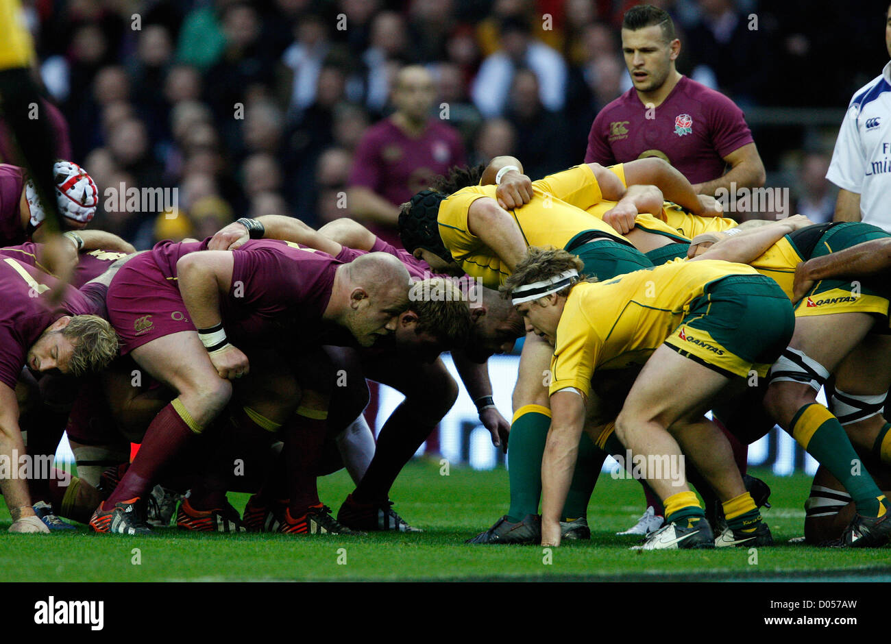 DAN COLE IN SCRUM ENGLAND V AUSTRALIA RU TWICKENHAM MIDDLESEX INGHILTERRA 17 Novembre 2012 Foto Stock
