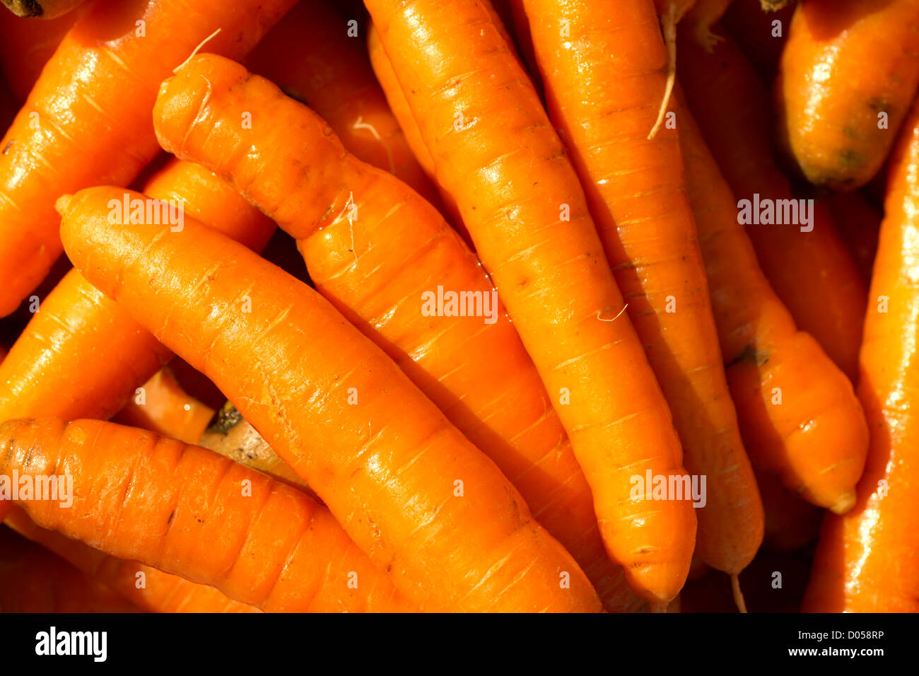 Le carote fresche in un mercato agricolo, Hardwick, Vermont, USA Foto Stock