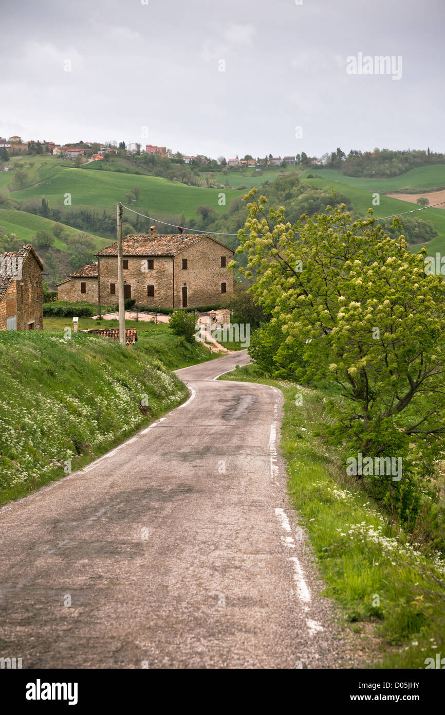 Italia agriturismo e locali strada curva. Tonico e immagine vignettato Foto Stock