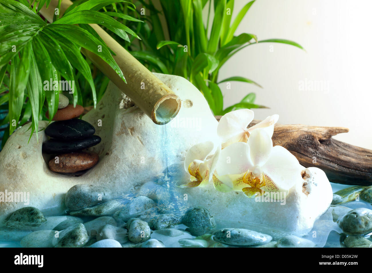 Orchidee e pietre zen con caduta di acqua spa concept Foto Stock