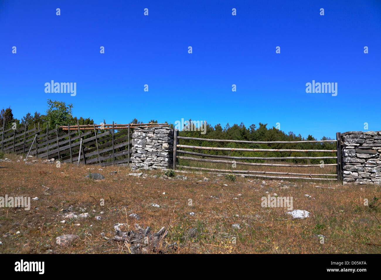La pietra e la recinzione di legno e porta al campo dell'isola Fårö vicino a Gotland nel Mar Baltico, Svezia. Foto Stock