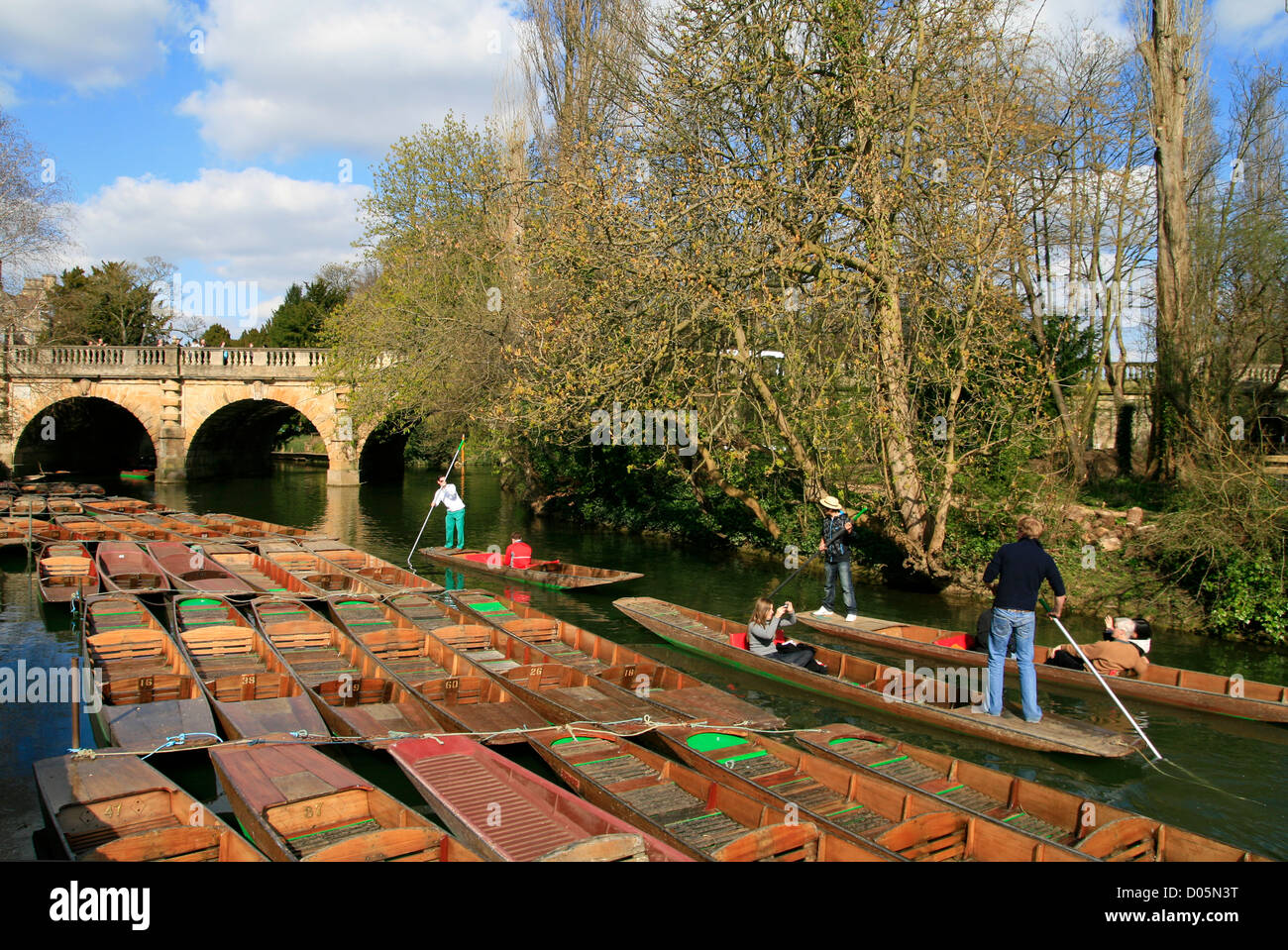 Punting sul fiume Cherwell Oxford Oxfordshire England Regno Unito Foto Stock