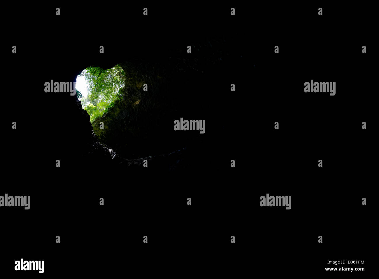 Forest visto dalla grotta, Malesia, Borneo. Foto Stock