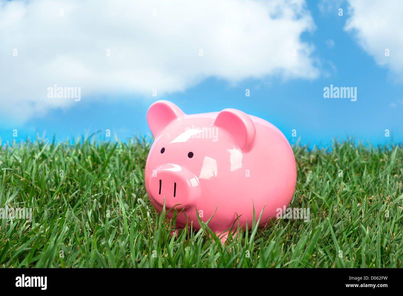 Una rosa salvadanaio in un prato di erba verde e blu, puffy nuvola bianca sky. Foto Stock