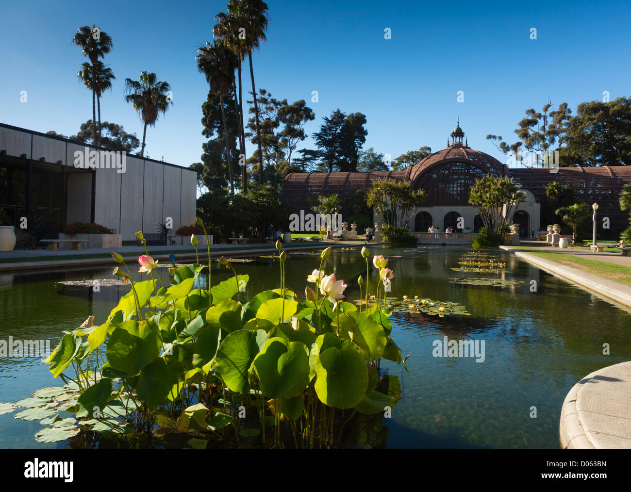 Balboa Park, San Diego, California - il laghetto di gigli guardando in direzione di impianto botanico di casa. Foto Stock