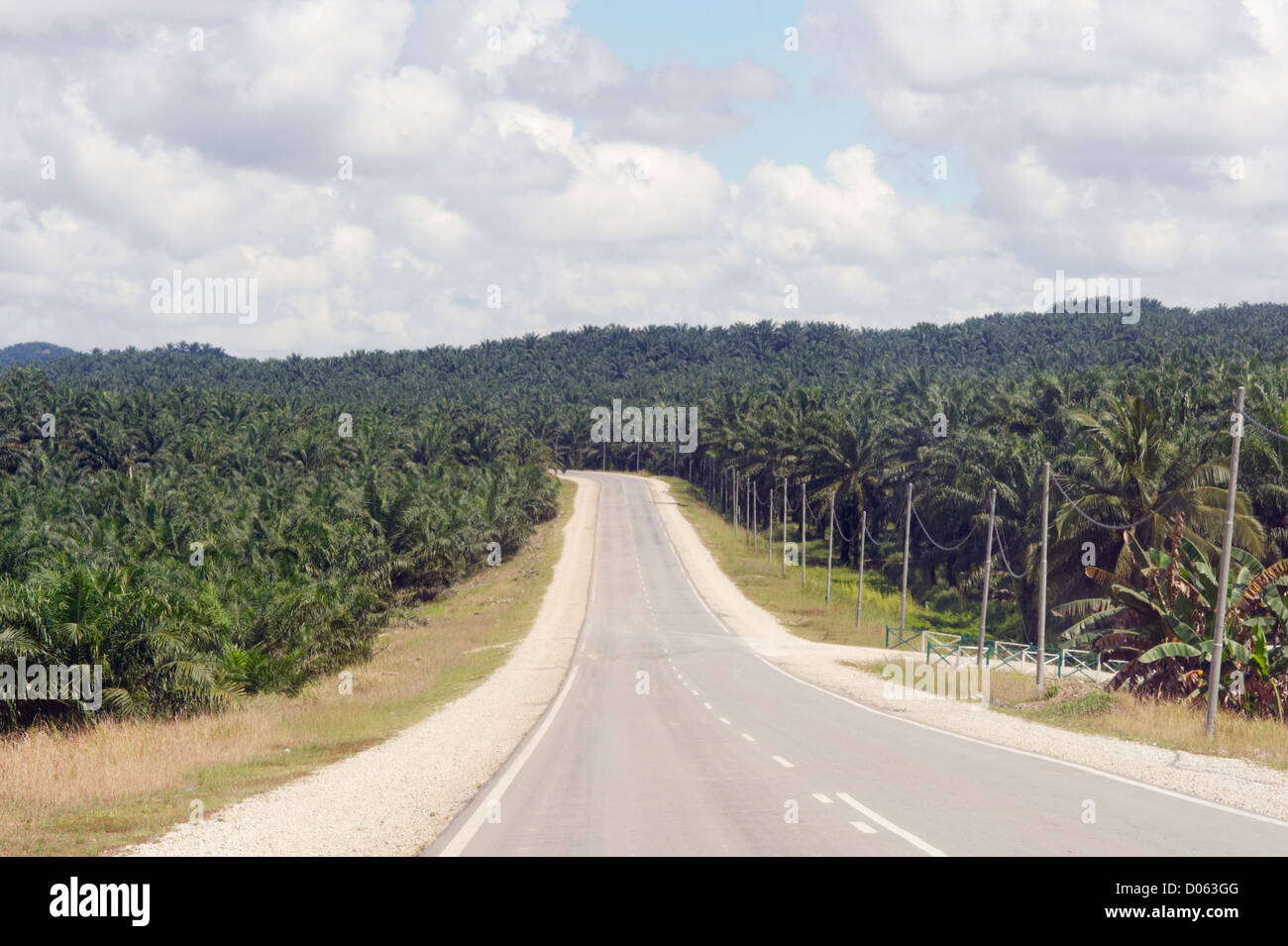 La strada attraverso la palma da olio di piantagioni, Sabah Borneo Foto Stock