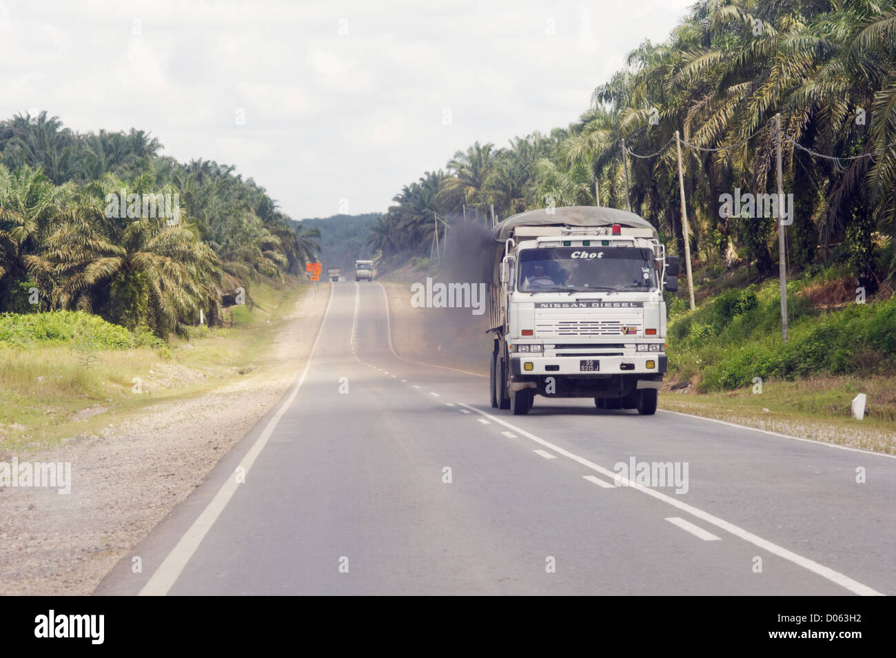 I carrelli che viaggiano su strada attraverso l'olio di palma di piantagioni, Sabah Borneo Foto Stock