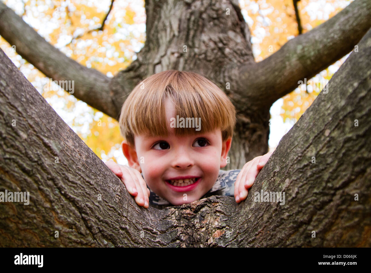Little Boy nella struttura ad albero Foto Stock