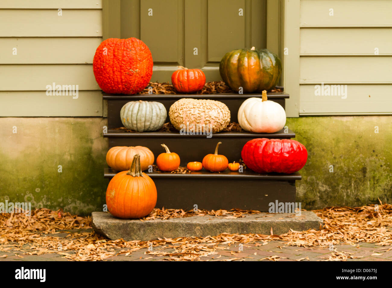 Zucche e zucche nella Vecchia Salem Foto Stock