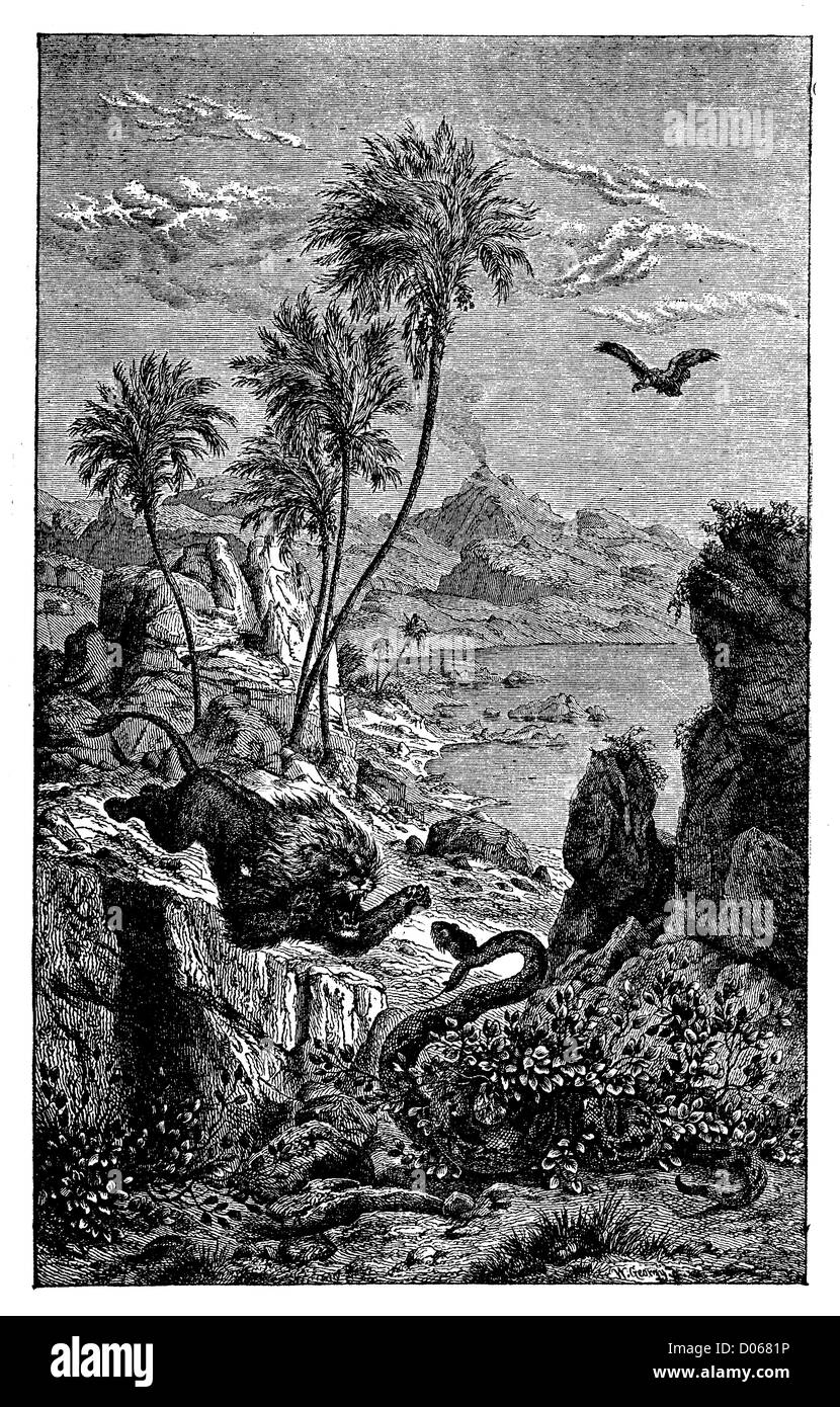 Lion, snake e paesaggio Foto Stock