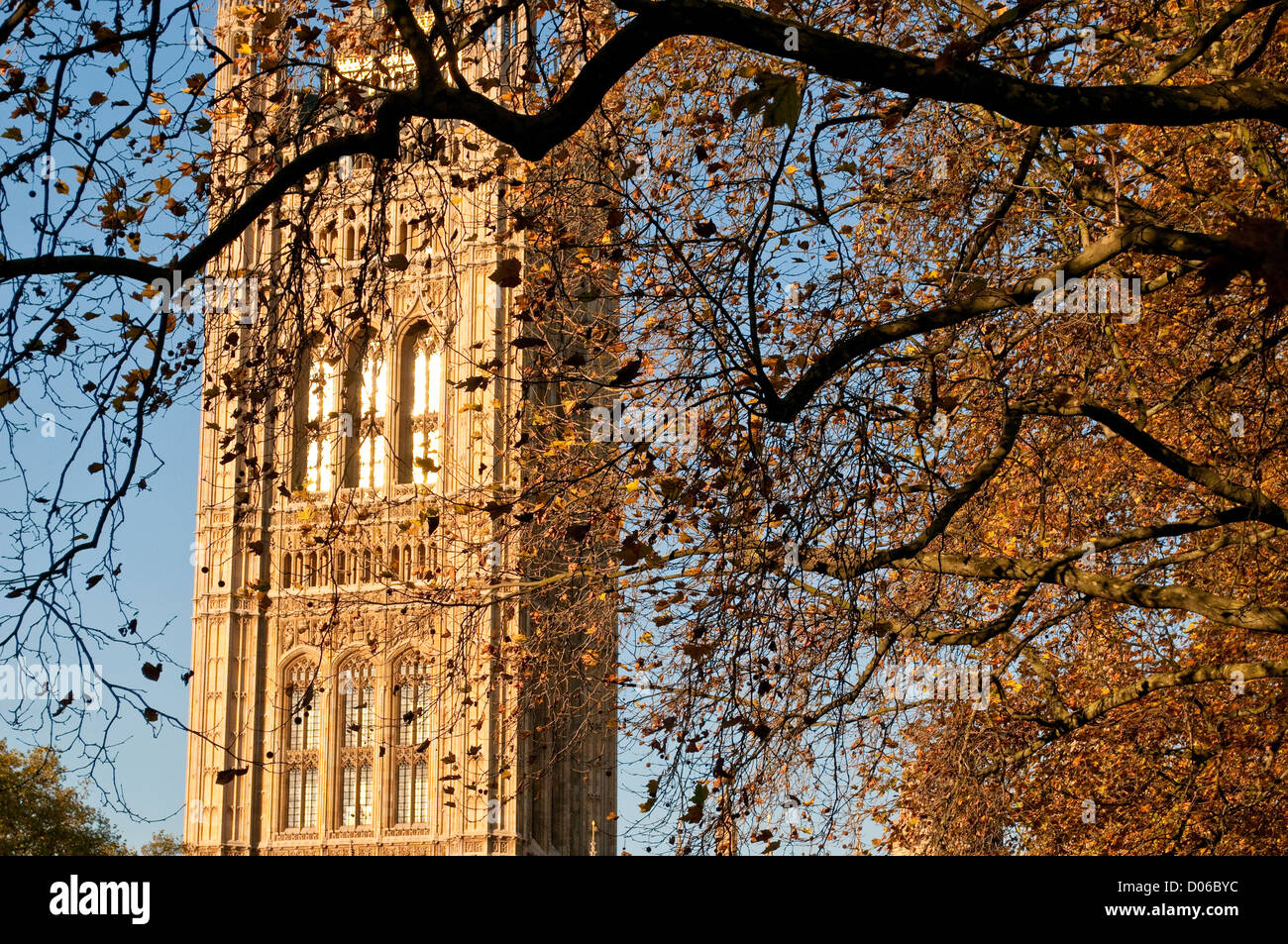 Victoria Tower con autumn tree, Palazzo di Westminster, la Casa del Parlamento, London, Regno Unito Foto Stock