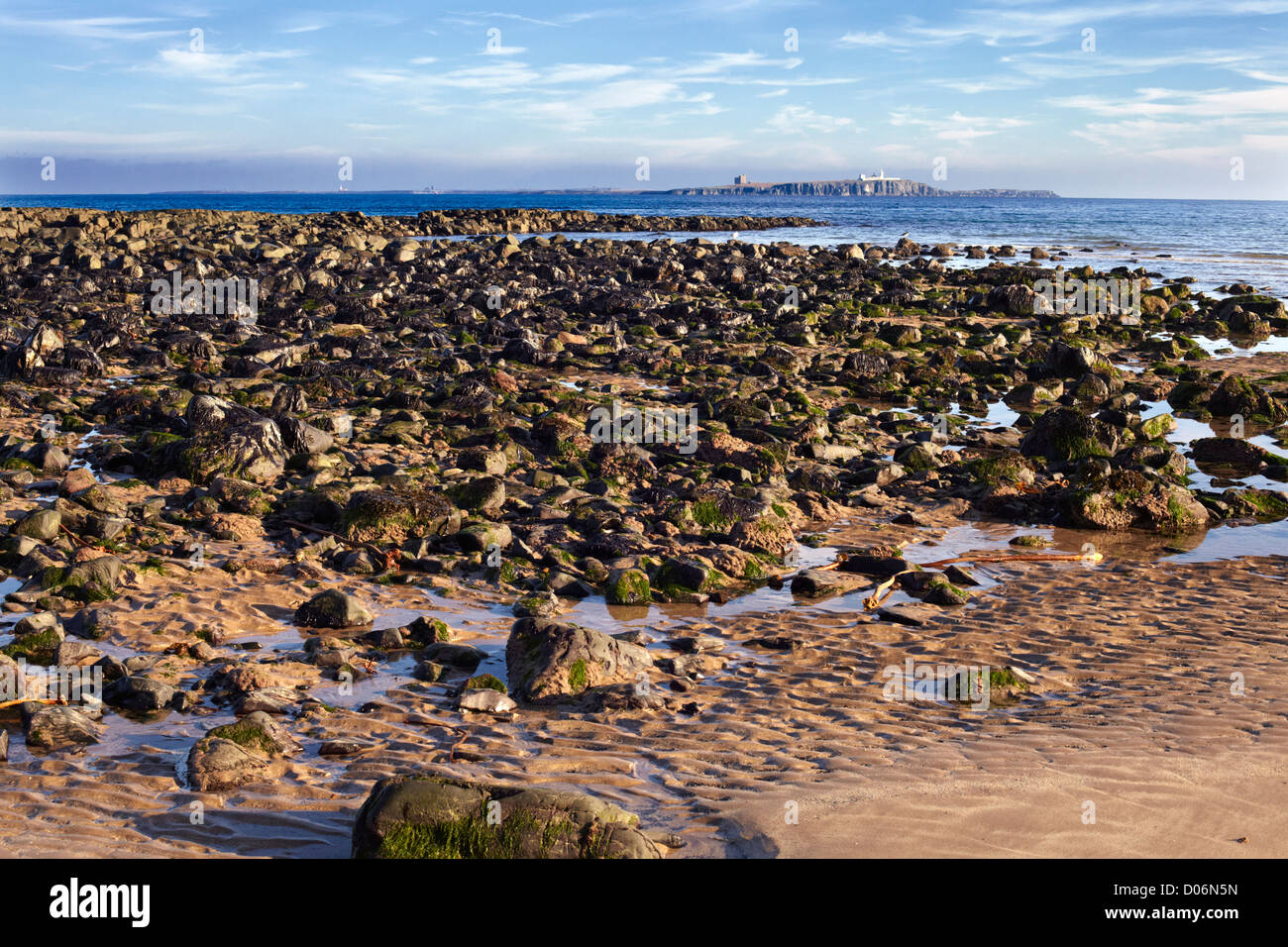 Rocce esposte a bassa marea sulla spiaggia al di sotto del castello di Bamborough. Northumberland Foto Stock