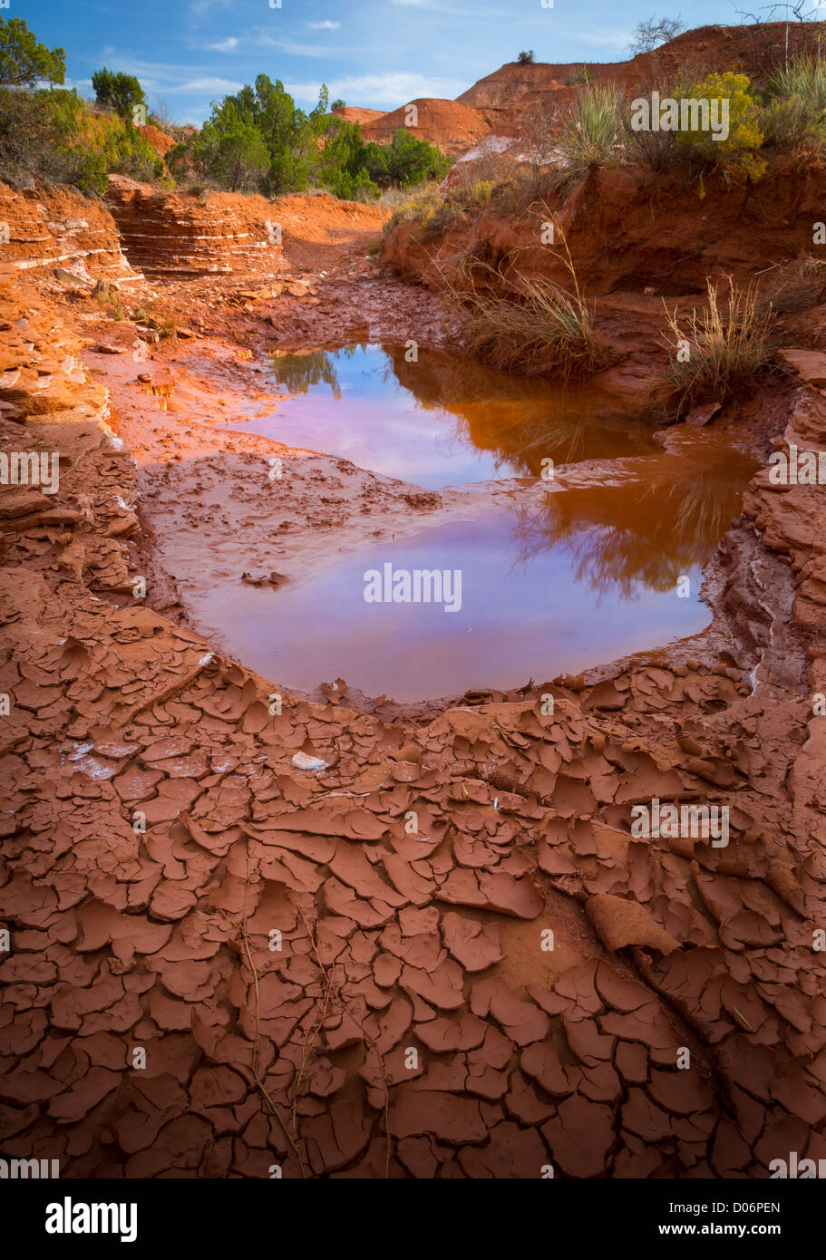 Pozza d'acqua e fango essiccato in Caprock Canyon State Park, Texas Foto Stock