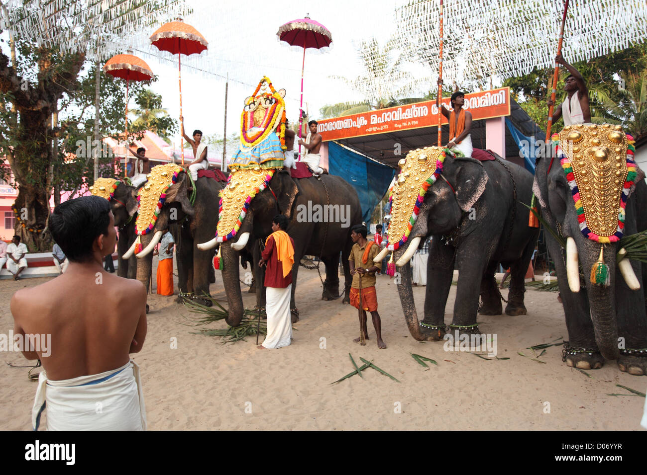 Formazione di gold-caparisoned elefanti a Thrissur Pooram. Sono Poorams tempio indù-centrato sagre popolari in Kerala. Foto Stock