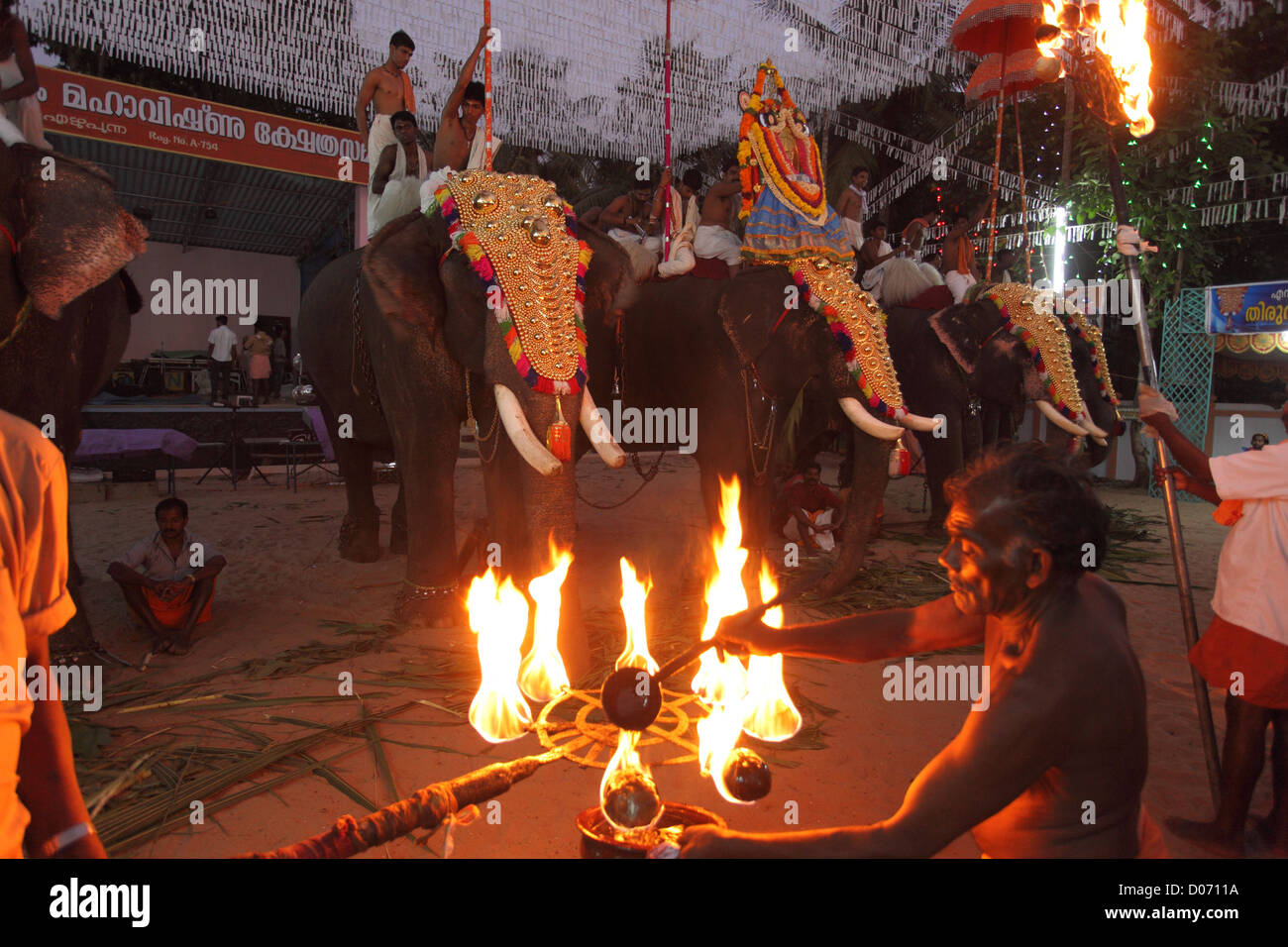 Formazione di gold-caparisoned elefanti a Thrissur Pooram. Sono Poorams tempio indù-centrato sagre popolari in Kerala. Foto Stock