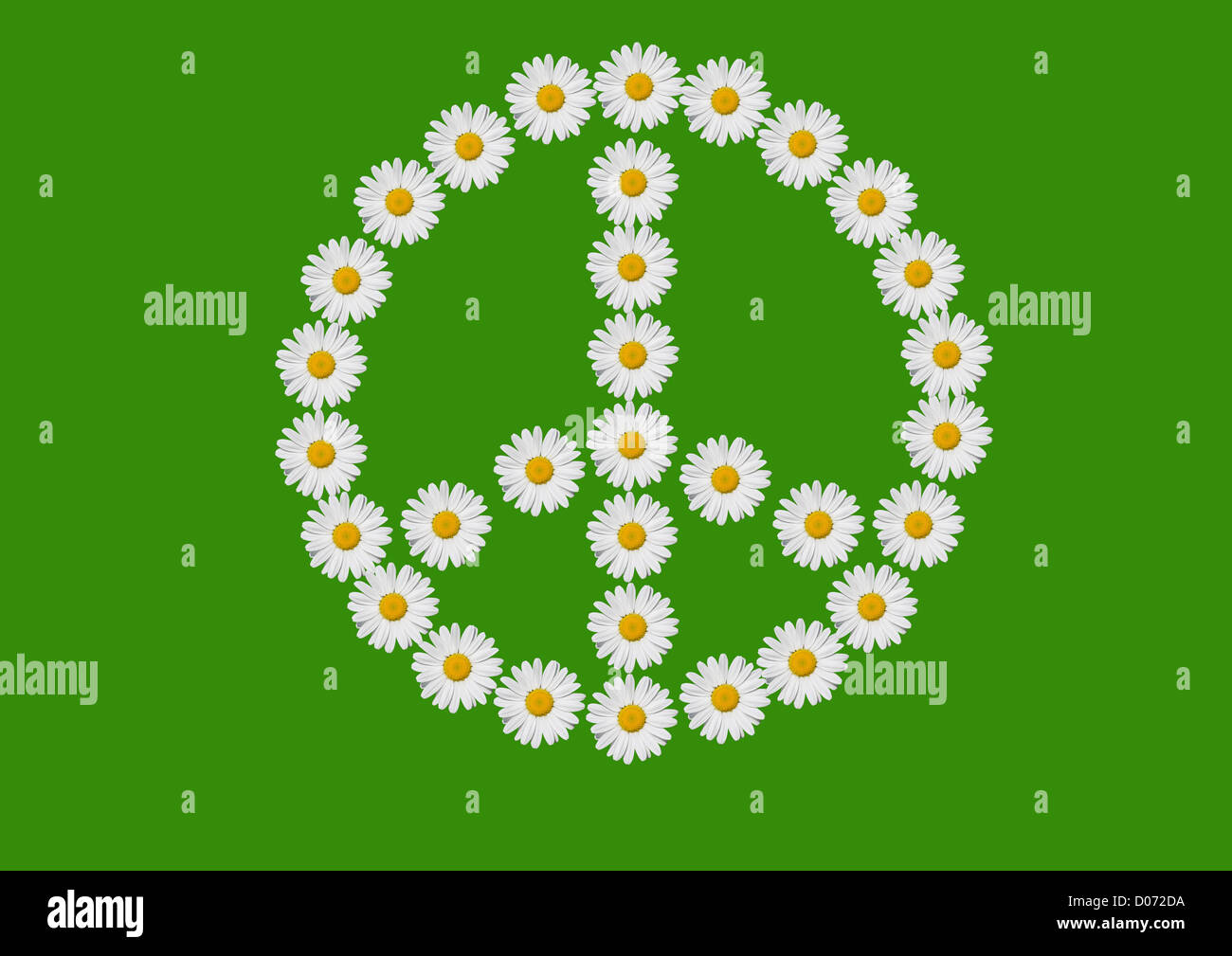 Il simbolo della pace e dell'amore" realizzato con fiori di margherite Foto Stock