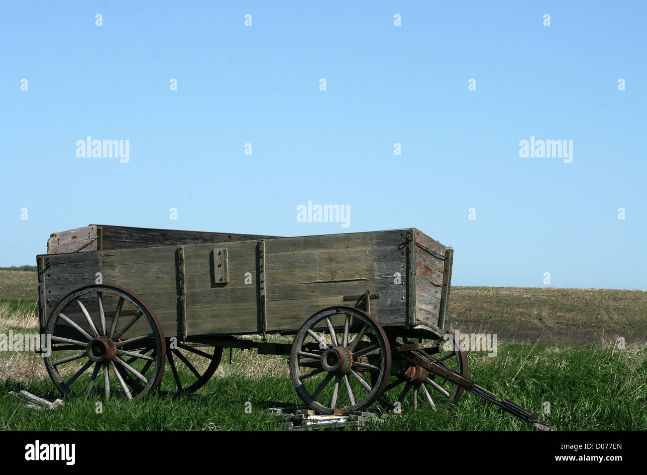 Un vecchio legno carro del grano utilizzato per estinguere le praterie è abbandonato in un campo di agricoltori in primavera a Morden, Manitoba, Canada Foto Stock