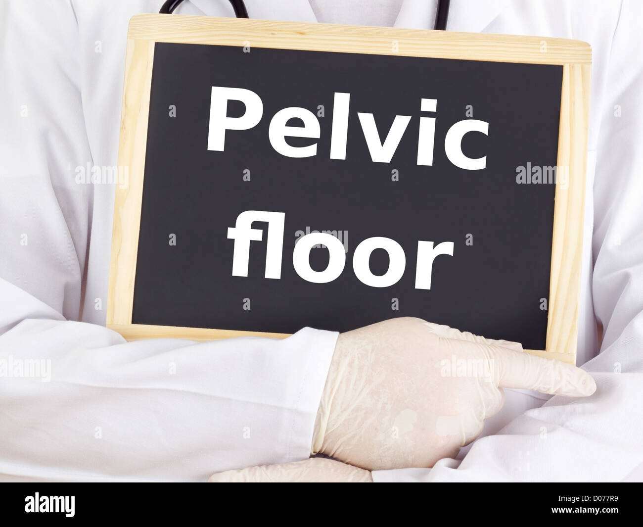 Medico mostra informazioni sulla lavagna: pavimento pelvico Foto Stock