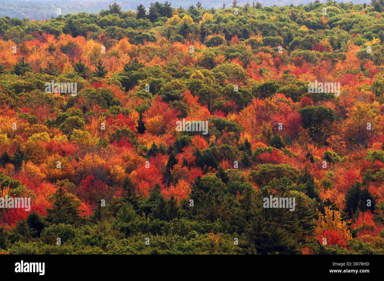 Vista dalla montagna di Bradbury, Bradbury Mountain State Park, Freeport, Maine Foto Stock