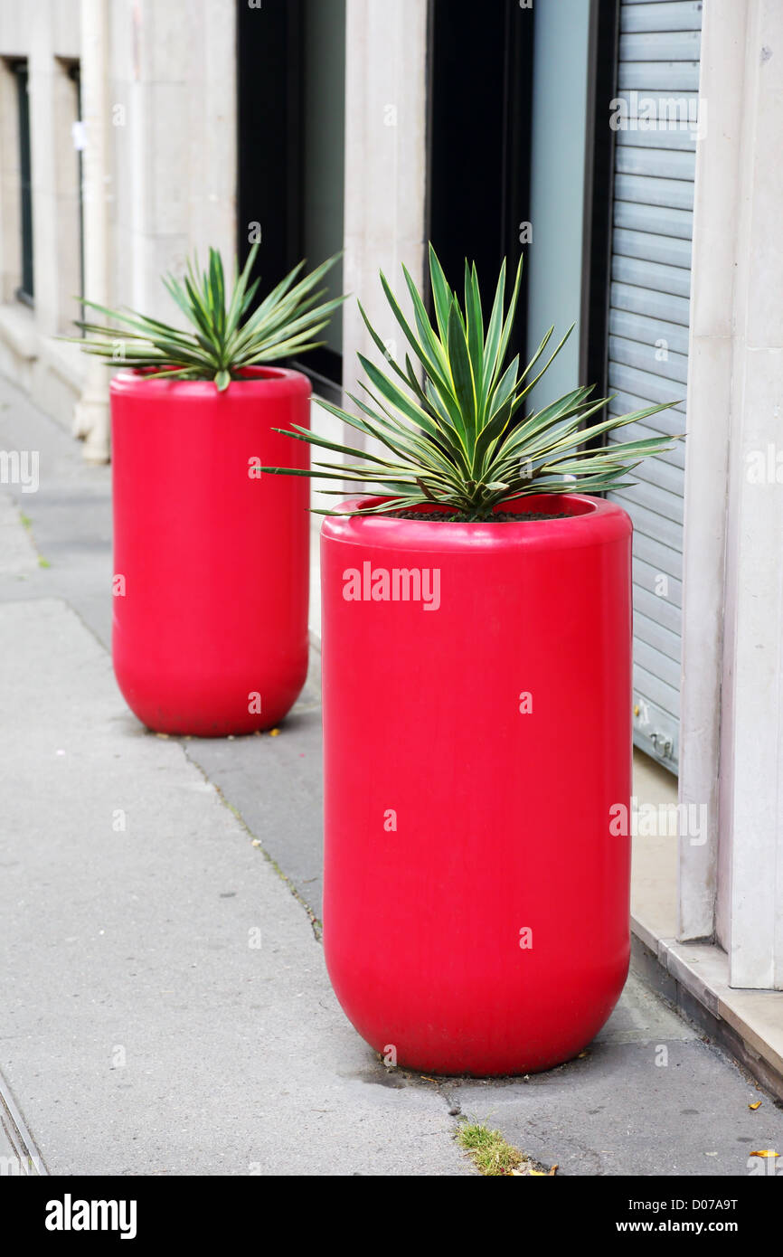 Piante su strada in rosso pentole, vasi Foto Stock