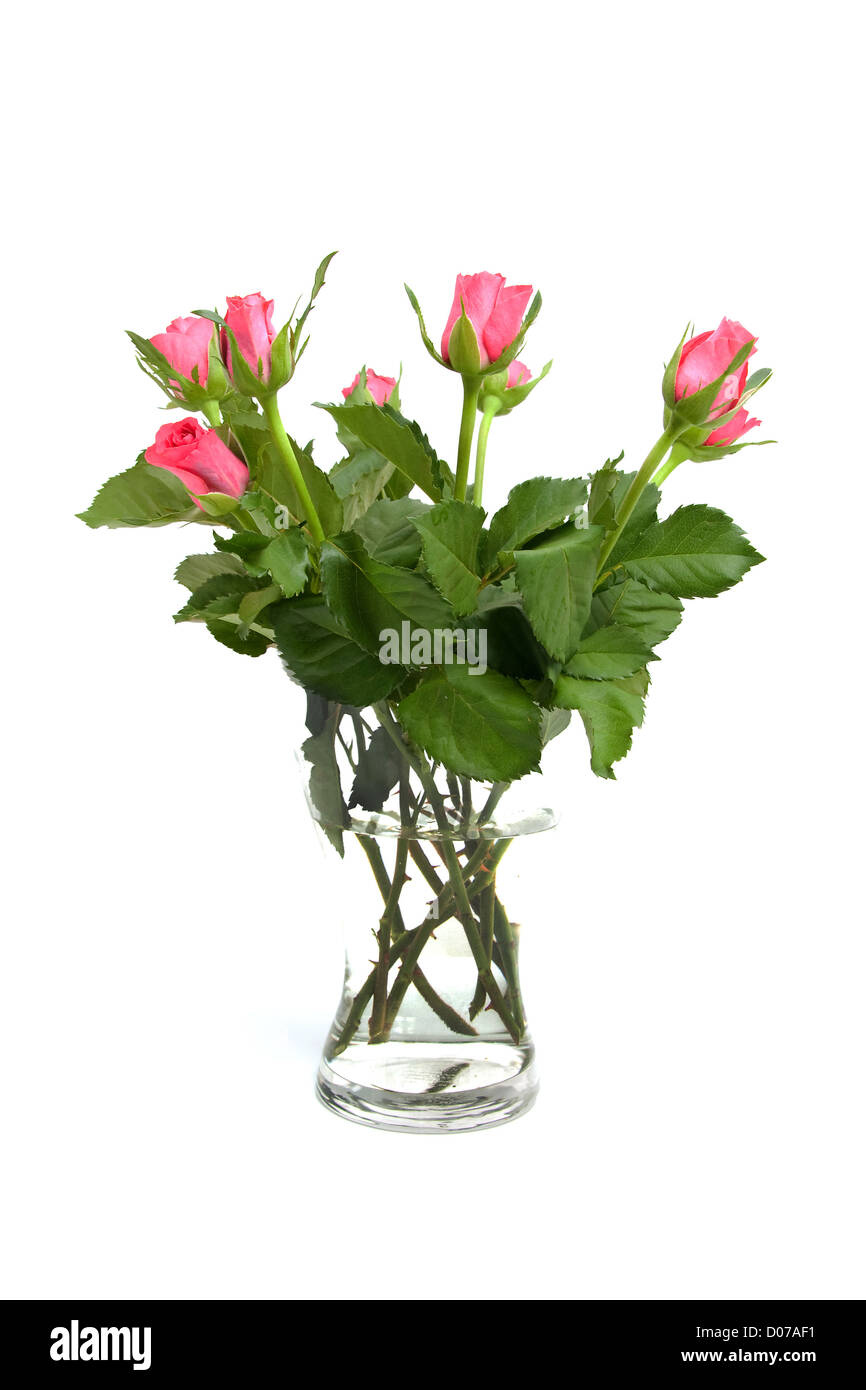 Bouquet di rose rosa in vaso di vetro su sfondo bianco Foto Stock