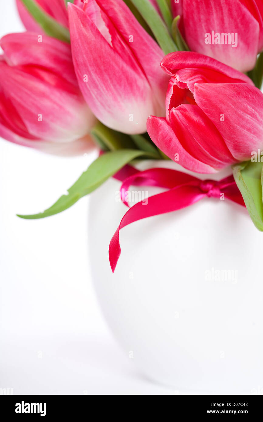 Di un bel colore rosa tulipani in un vaso su sfondo bianco Foto Stock
