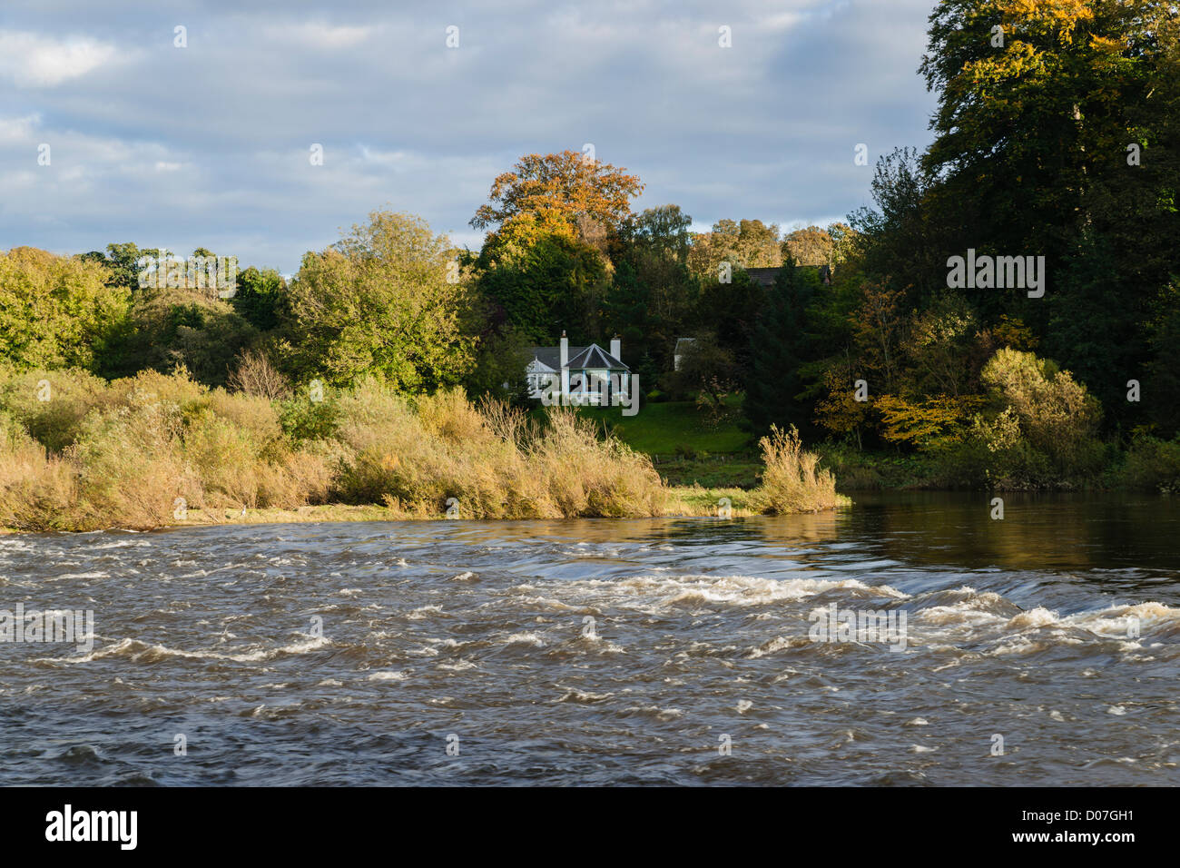 In autunno la Scottish Borders Regno Unito - Mayfield sezione del Tweed River a Kelso. Crown Point. Foto Stock