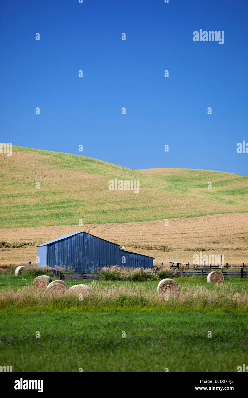 WA, Whitman County, Palouse Terreni agricoli Foto Stock