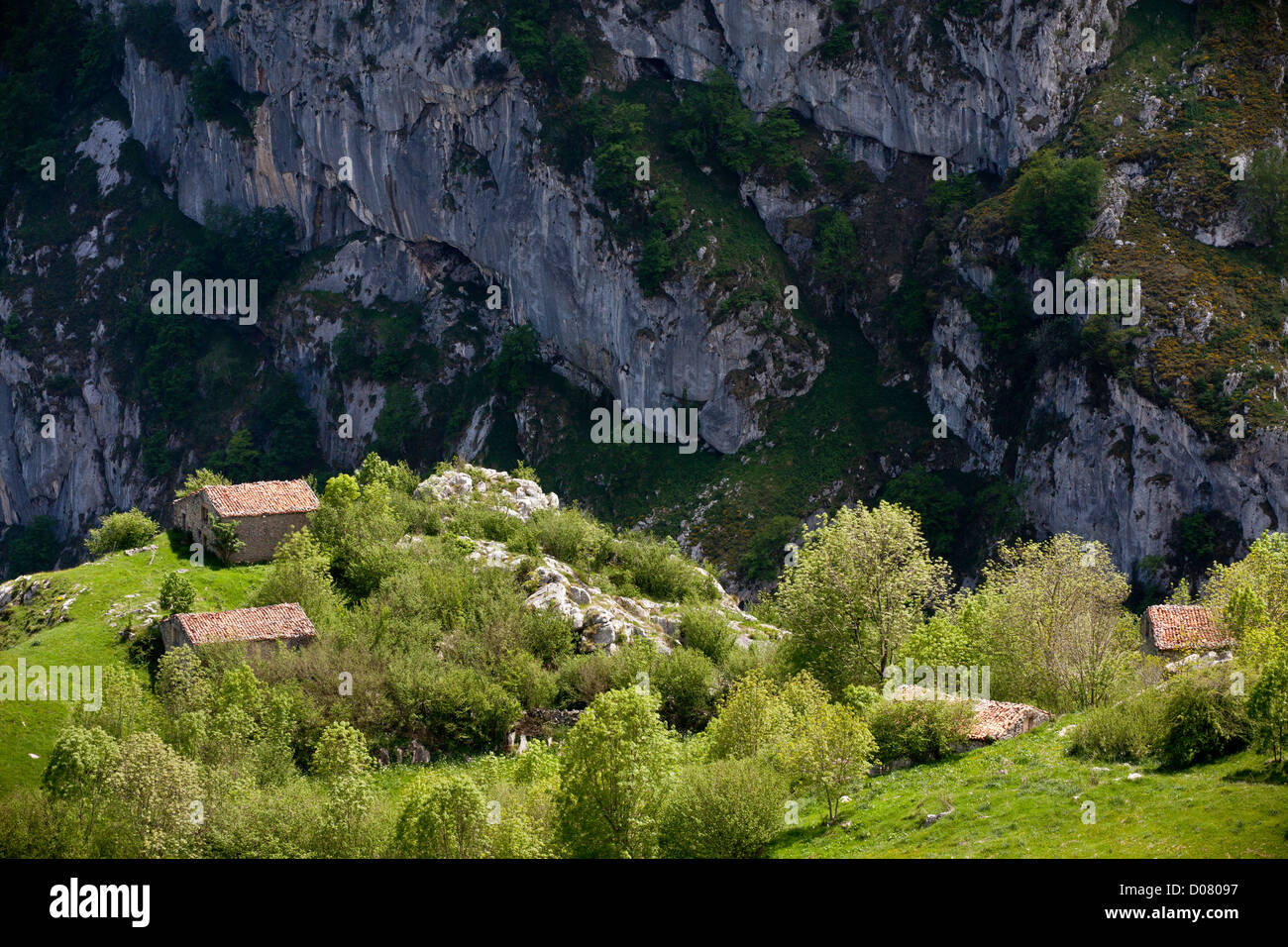 Alti pascoli e fienili (invernales) vicino Tresviso nel calcare Picos de Europa, Spagna. Foto Stock