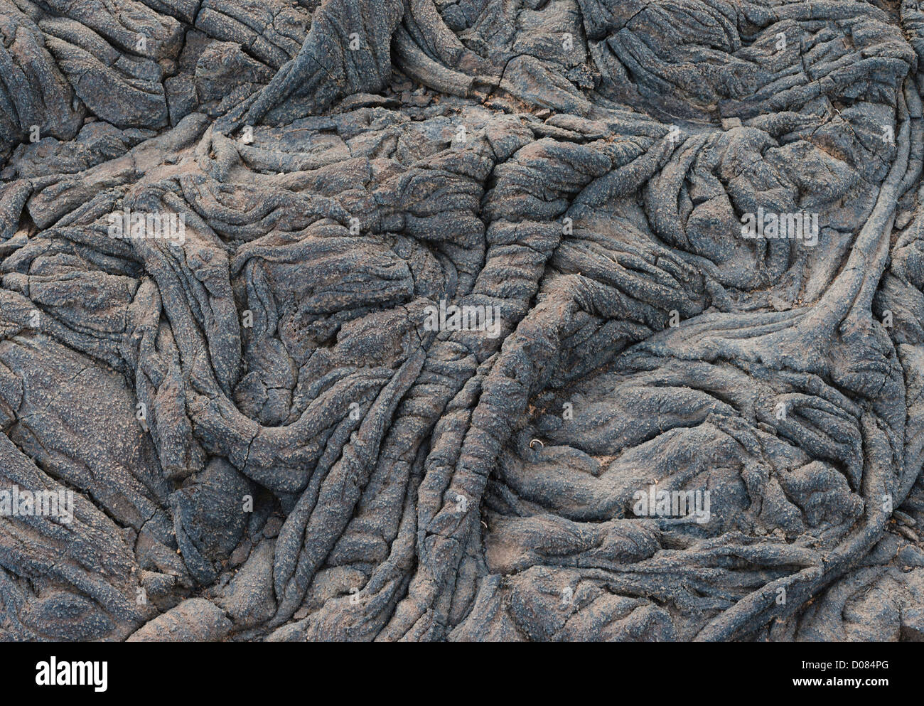 Dettaglio del o pahoehoe lava ropy vicino a La Restinga El Hierro, Isole Canarie, Spagna Foto Stock