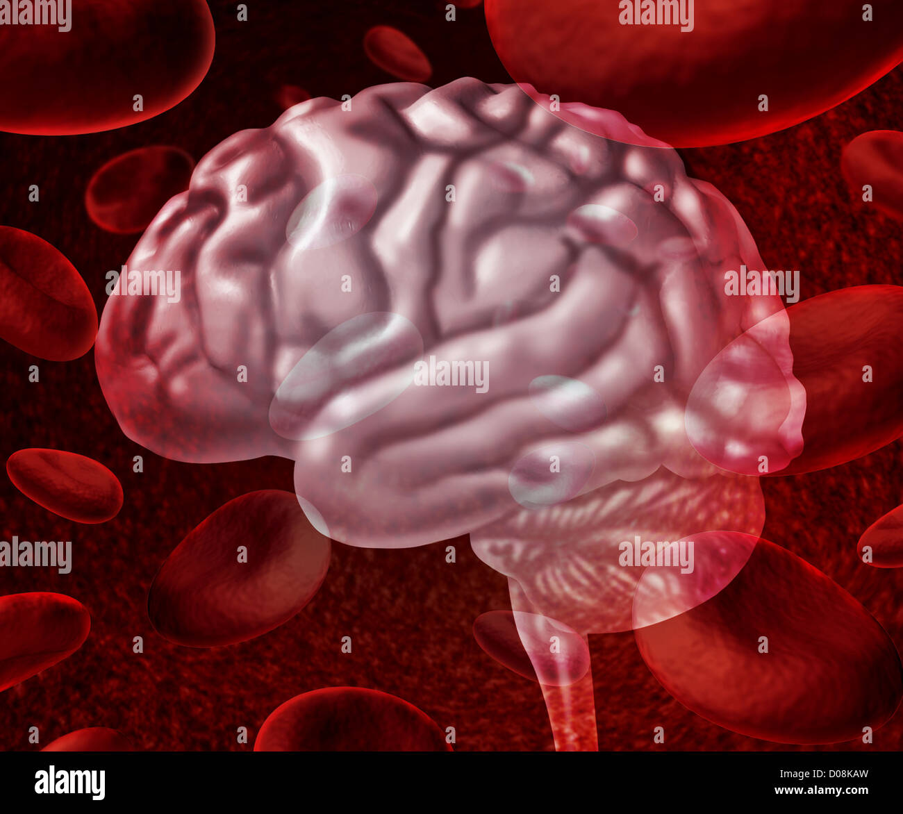 Cervello la circolazione del sangue come cellule che scorre attraverso le vene e umano sistema circolatorio che rappresenta un medico health care simbolo relativo alla corsa o problemi di neurologia. Foto Stock