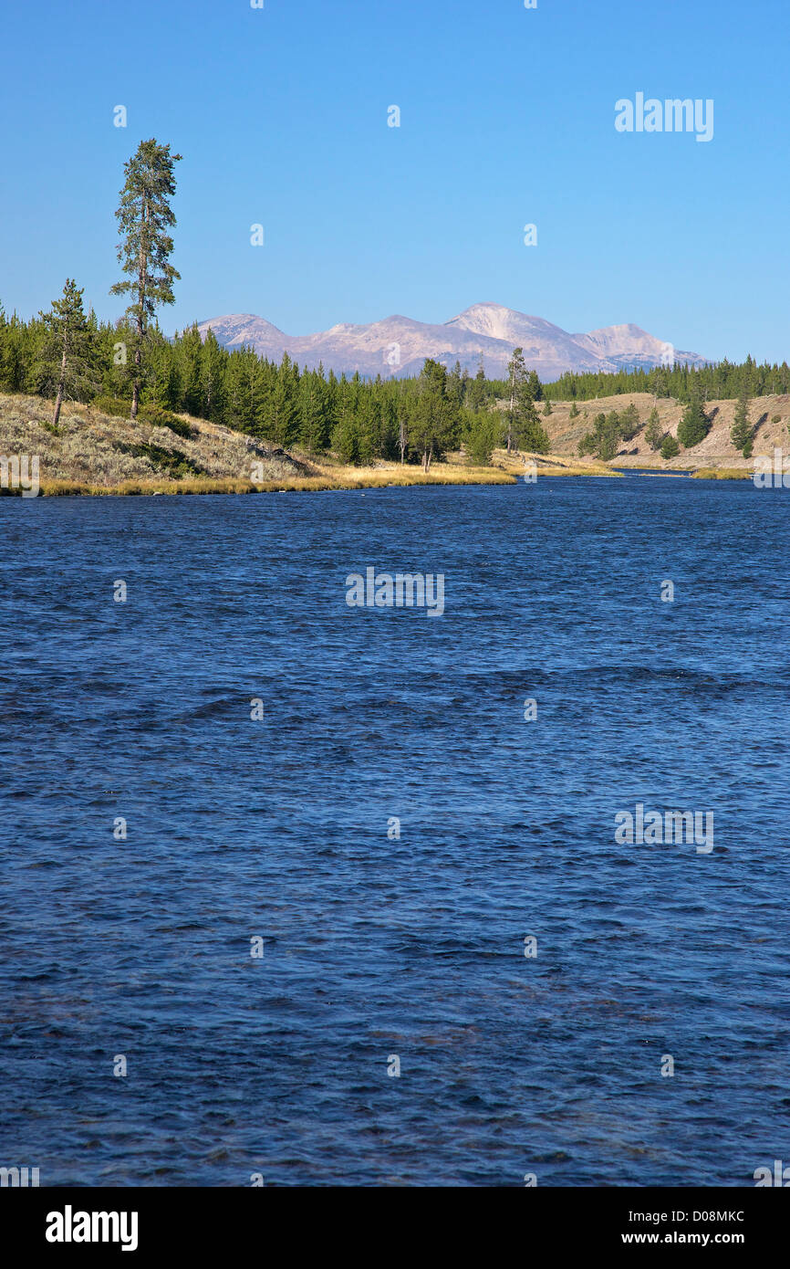 Madison River Valley vicino a Madison, il Parco Nazionale di Yellowstone, Wyoming USA Foto Stock