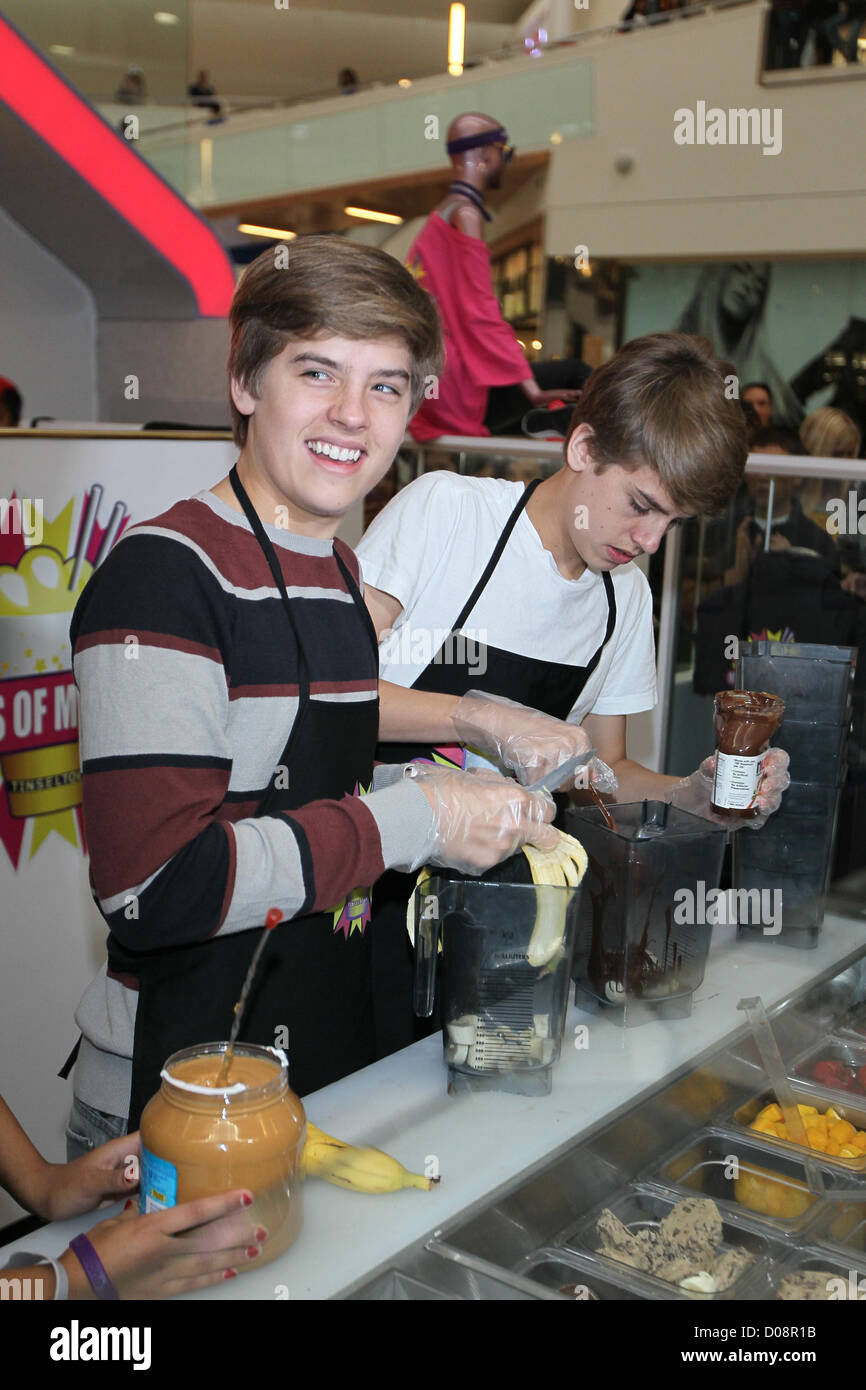 Dylan e Cole Disney stelle Dylan e Cole Sprouse ospitare un evento di raccolta fondi a beneficio del 'cavalcare un onda Fondazione' in milioni Foto Stock